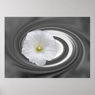 white and grey poster