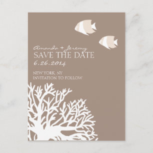 White and Ivory Tropical Fish  Save the Date Announcement Postcard