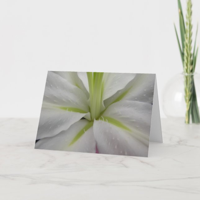 White and Lime Tiger Lily Greeting Card (Front)