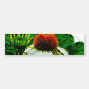 White and Orange ConeFlowers Bumper Sticker