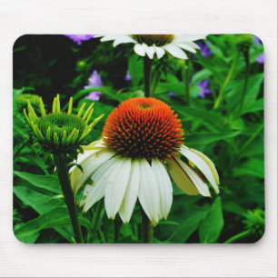 White and Orange ConeFlowers Mouse Pad