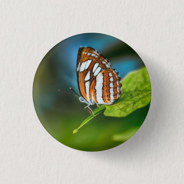 White and Orange Striped Butterfly 3 Cm Round Badge (Front)