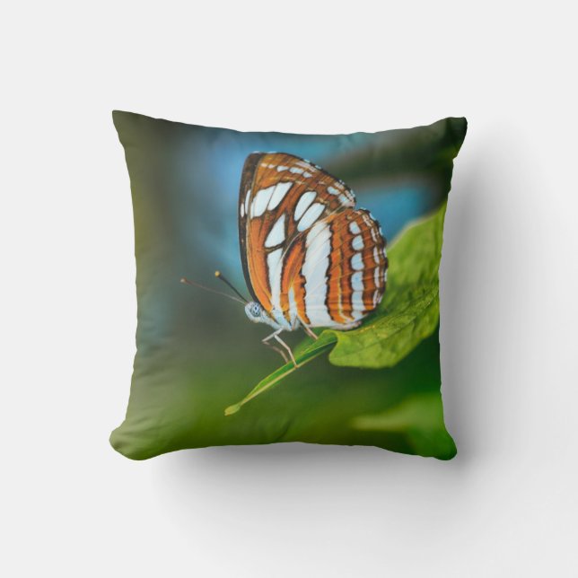 White and Orange Striped Butterfly Cushion (Front)