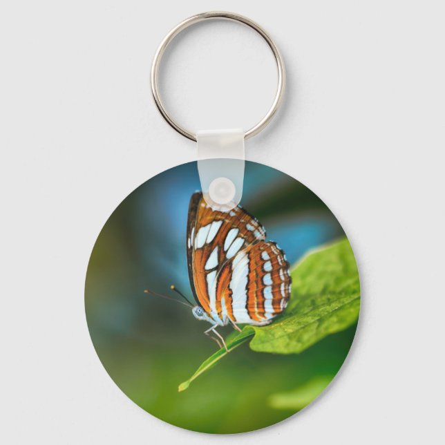 White and Orange Striped Butterfly Key Ring (Front)