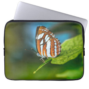 White and Orange Striped Butterfly Laptop Sleeve