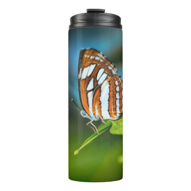 White and Orange Striped Butterfly Thermal Tumbler (Front)