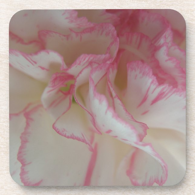 White and Pink Carnation Cork Coaster (Front)