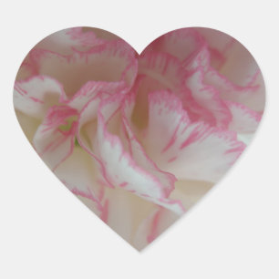 White and Pink Carnation Heart Sticker