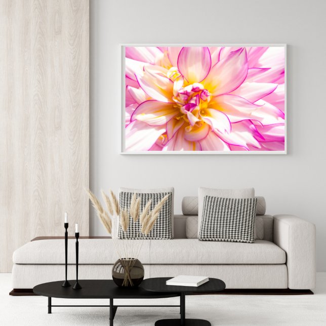 White And Pink Dahlia Poster (Creator Uploaded)