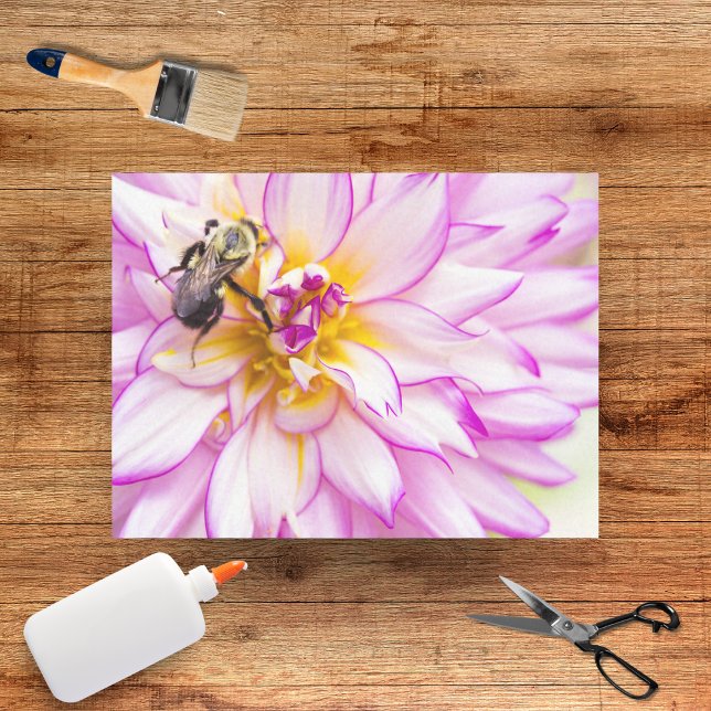 White And Pink Dahlia With Bumble Bee Tissue Paper (Creator Uploaded)