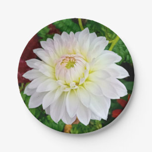 White and pink flower paper plate