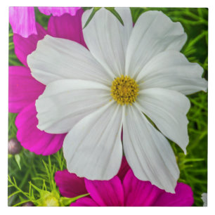 White and pink flowers ceramic tile