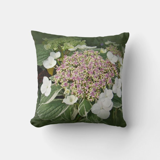 White and Pink Lace-Cap Hydrangea Blossoms-Pillow Cushion (Front)