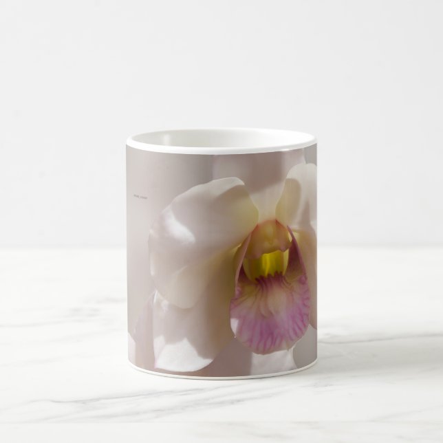 White and pink orchid flower on blurred background coffee mug (Center)