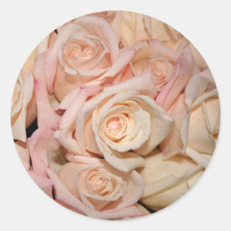 white and pink rose classic round sticker