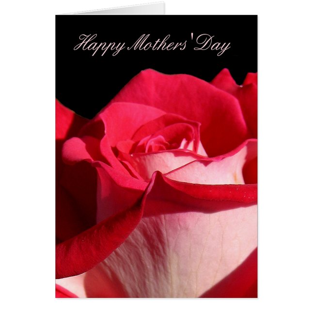 White and Pink Rose Mothers Day Card (Front)