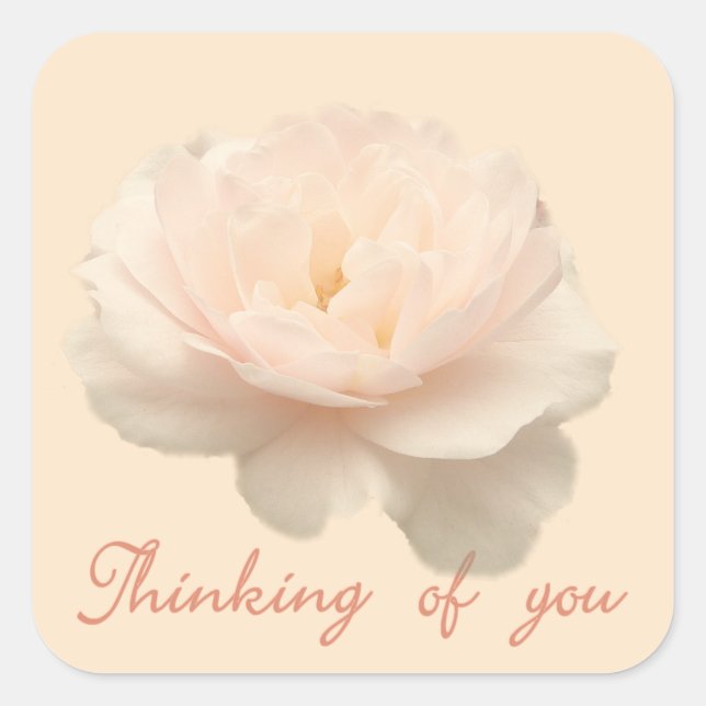 White and pink rose square sticker (Front)