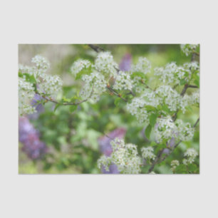 White and Purple flowers Tissue Paper