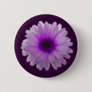 White and Purple Marigold Button
