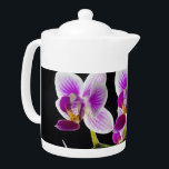 White and purple orchid<br><div class="desc">A beautiful white and purple orchid.</div>