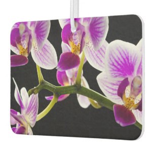 White and purple orchid car air freshener