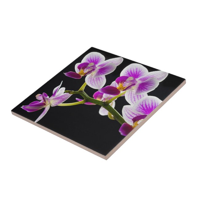 White and purple orchid ceramic tile (Side)