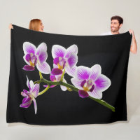 White and purple orchid