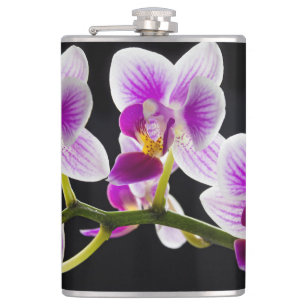 White and purple orchid hip flask