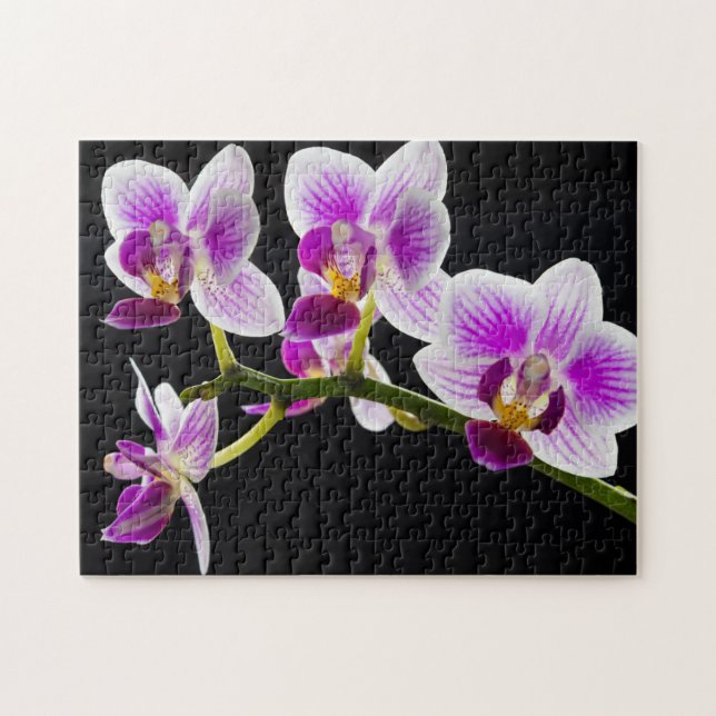 White and purple orchid jigsaw puzzle (Horizontal)