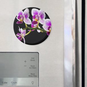 White and purple orchid magnet