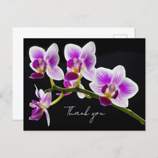 White and Purple Orchid Thank You Postcard