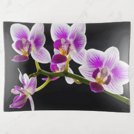 White and purple orchid trinket trays