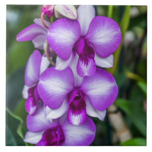 White and purple orchids ceramic photo tile