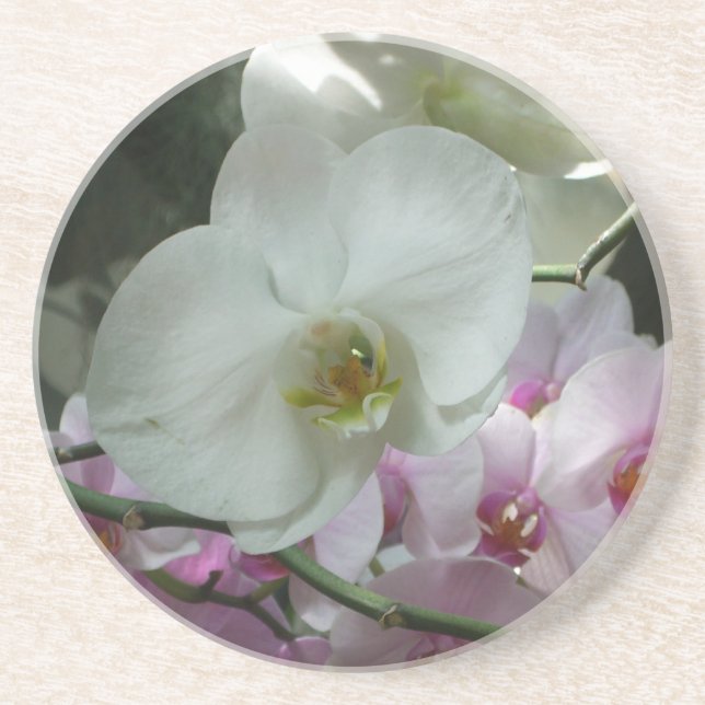 White and Purple Orchids Coaster (Front)