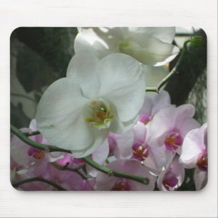 White and Purple Orchids Mouse Pad