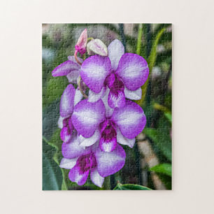 White and purple orchids puzzle