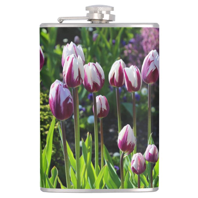 White-and-Purple Tulips Hip Flask (Front)