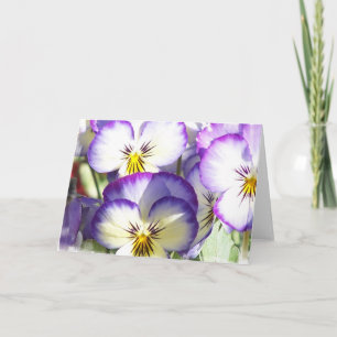 White and Purple Violas Greeting Card