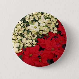 White and Red Poinsettias I Holiday Floral 6 Cm Round Badge