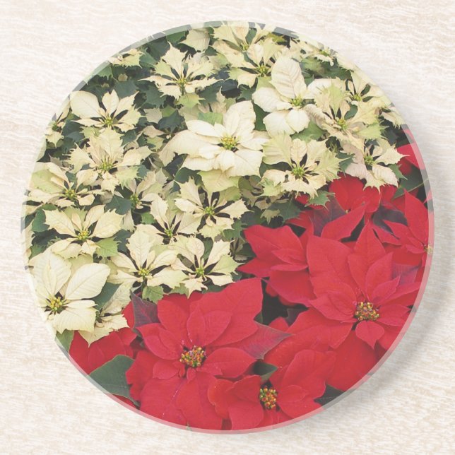 White and Red Poinsettias I Holiday Floral Coaster (Front)