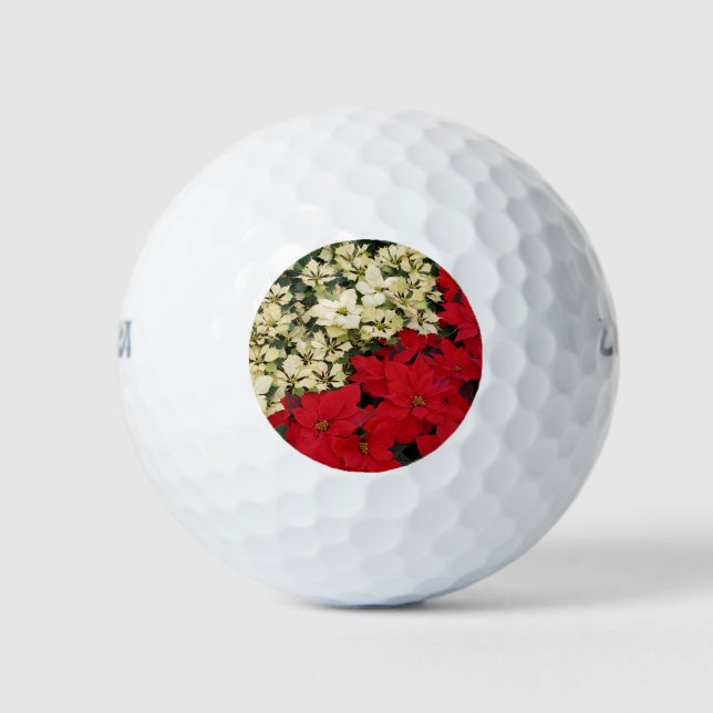 White and Red Poinsettias I Holiday Floral Golf Balls (Front)