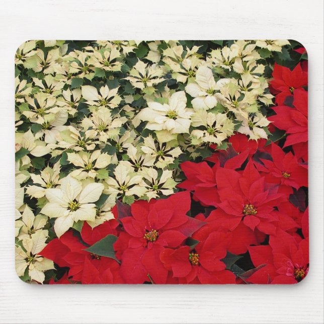 White and Red Poinsettias I Holiday Floral Mouse Pad (Front)