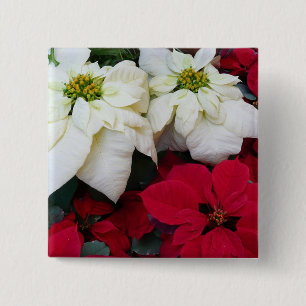 White and Red Poinsettias II Christmas Holiday 15 Cm Square Badge