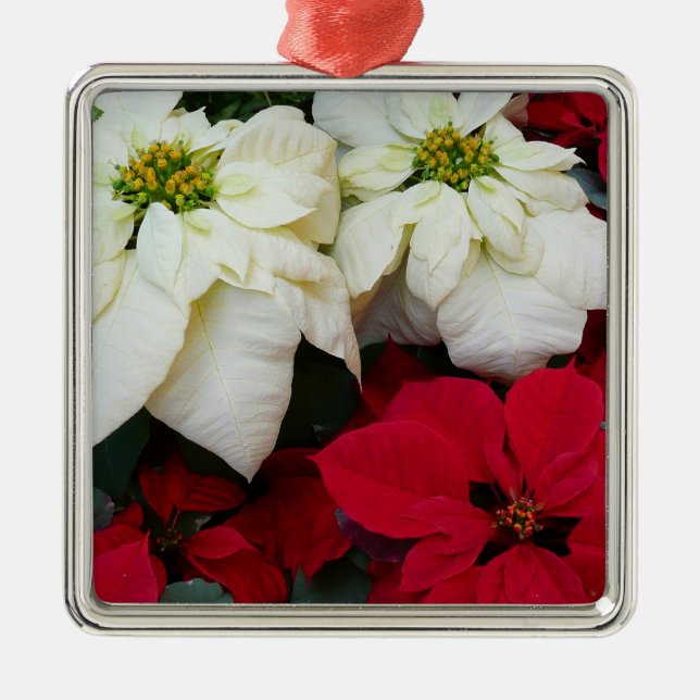 White and Red Poinsettias II Christmas Holiday Metal Ornament (Front)