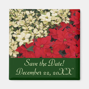 White and Red Poinsettias Save the Date Magnet