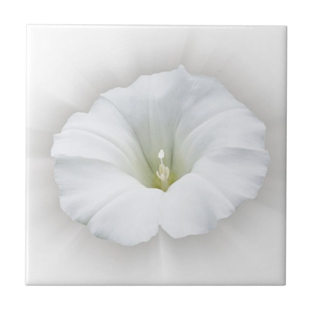 white and shades of grey ceramic tile (Front)