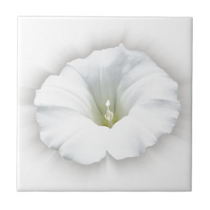 white and shades of grey ceramic tile