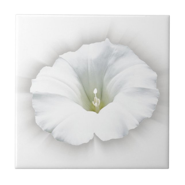 white and shades of grey ceramic tile (Front)