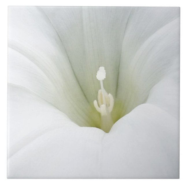 white and shades of grey ceramic tile (Front)