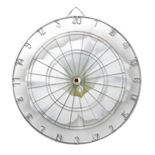 white and shades of grey dartboard